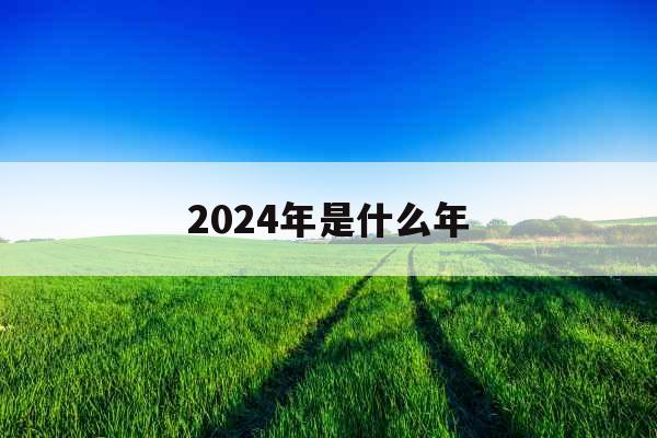 2024年是什么年