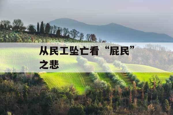 从民工坠亡看“屁民”之悲