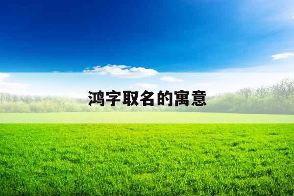 鸿字取名的寓意 鸿字取名的寓意