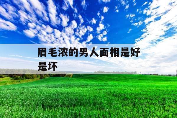 眉毛浓的男人面相是好是坏 眉毛浓的男人面相是好是坏