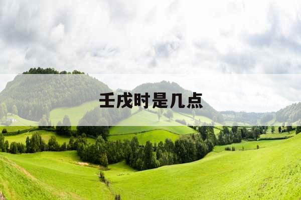 壬戌时是几点