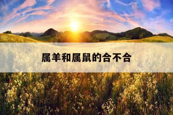 属羊和属鼠的合不合 属羊和属鼠的合不合