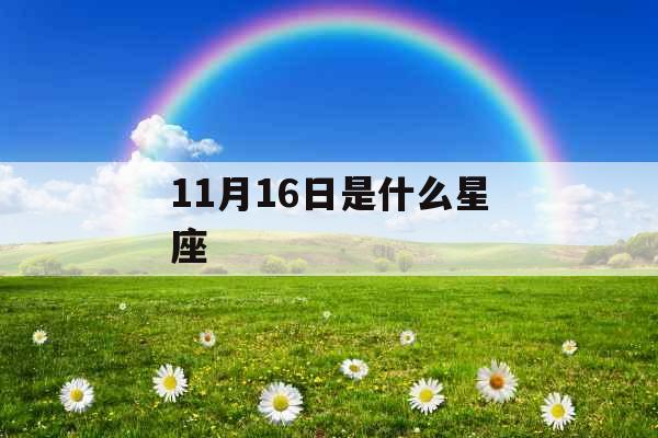 11月16日是什么星座