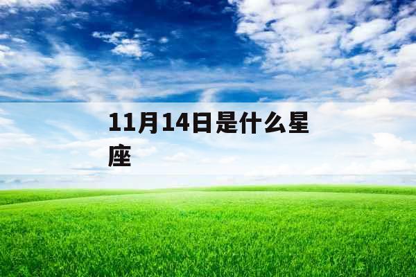 11月14日是什么星座