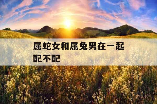 属蛇女和属兔男在一起配不配