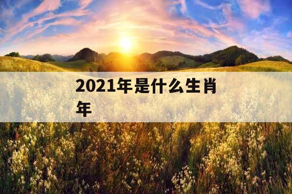 2021年是什么生肖年