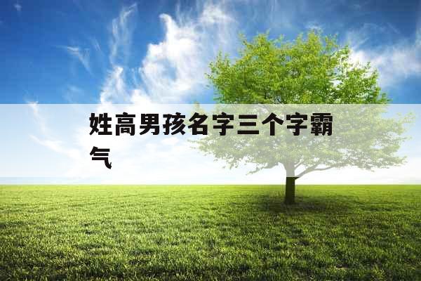 姓高男孩名字三个字霸气