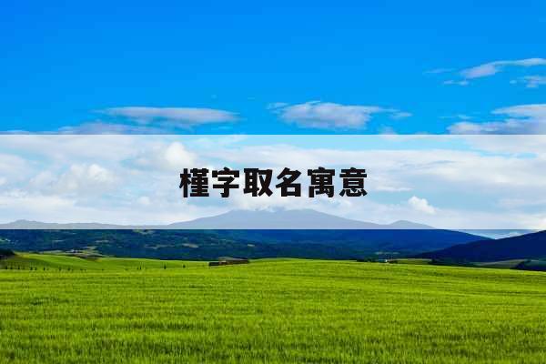 槿字取名寓意
