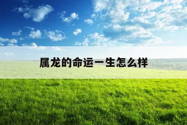 属龙的命运一生怎么样