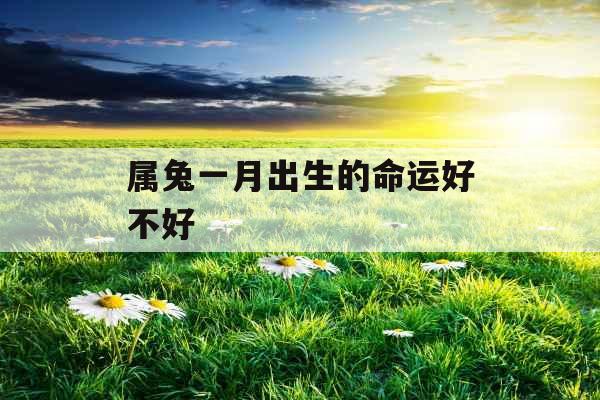 属兔一月出生的命运好不好 属兔一月出生的命运好不好