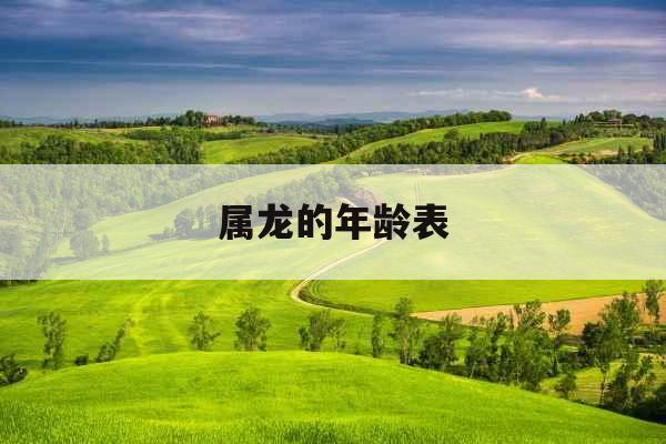 属龙的年龄表