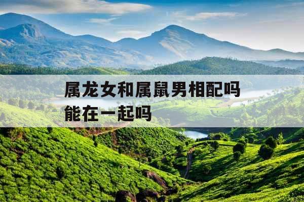 属龙女和属鼠男相配吗能在一起吗