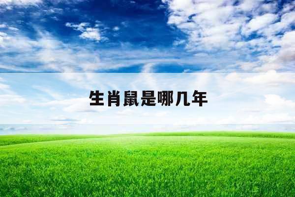 生肖鼠是哪几年