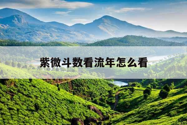 紫微斗数看流年怎么看 紫微斗数看流年怎么看