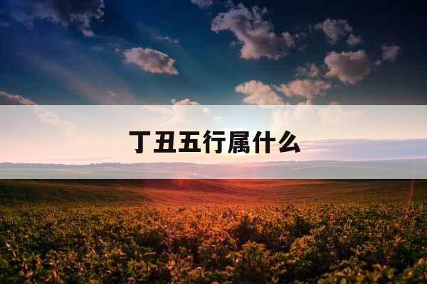 丁丑五行属什么 丁丑五行属什么