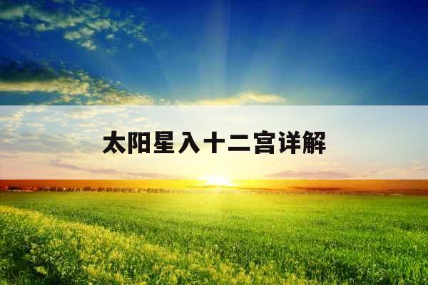 太阳星入十二宫详解 太阳星入十二宫详解