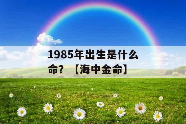 1985年出生是什么命？【海中金命】