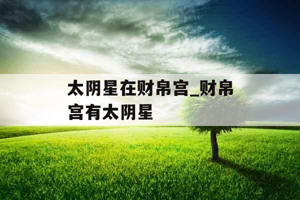 太阴星在财帛宫_财帛宫有太阴星