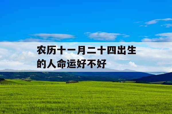 农历十一月二十四出生的人命运好不好