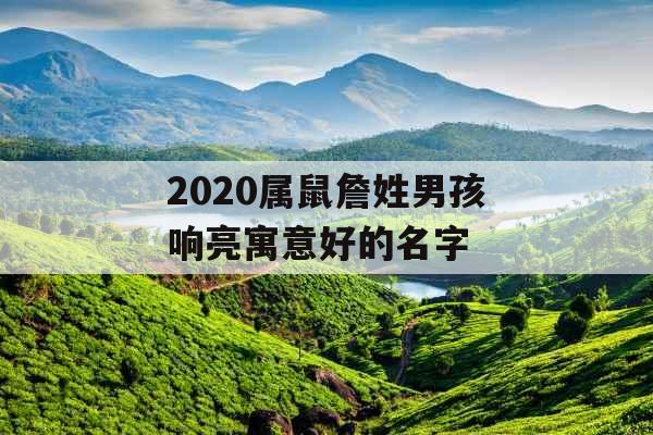 2020属鼠詹姓男孩响亮寓意好的名字 2020属鼠詹姓男孩响亮寓意好的名字