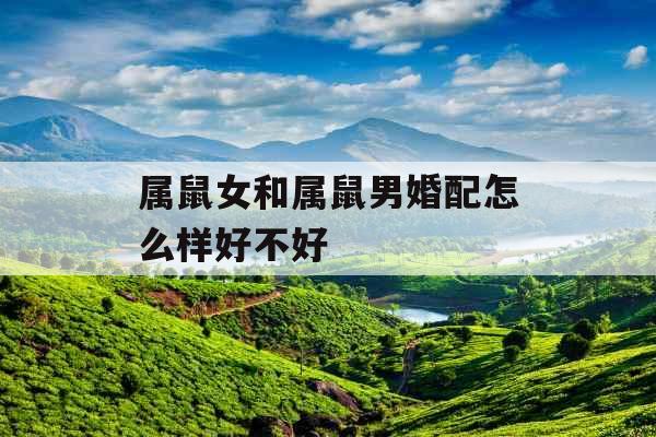 属鼠女和属鼠男婚配怎么样好不好