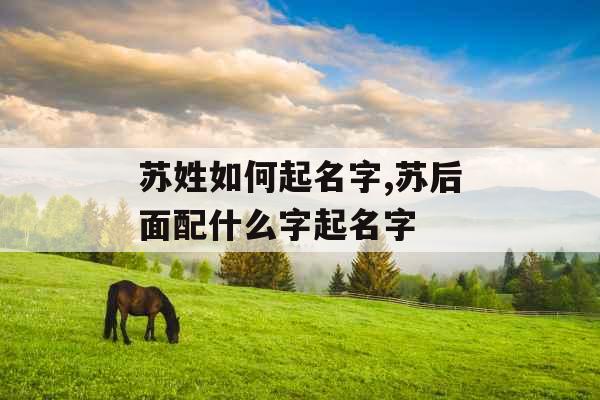 苏姓如何起名字,苏后面配什么字起名字 苏姓如何起名字,苏后面配什么字起名字