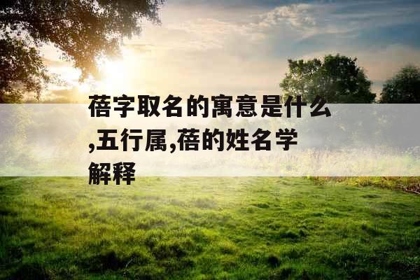 蓓字取名的寓意是什么,五行属,蓓的姓名学解释