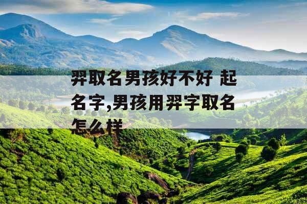 羿取名男孩好不好 起名字,男孩用羿字取名怎么样