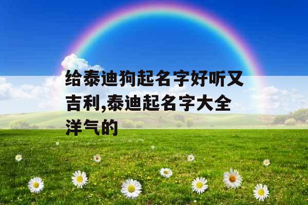 给泰迪狗起名字好听又吉利,泰迪起名字大全洋气的