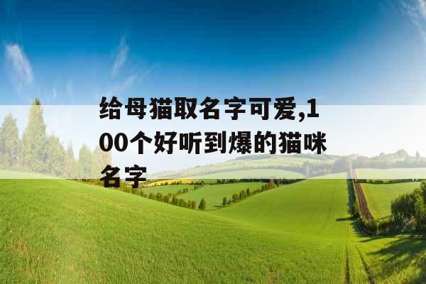 给母猫取名字可爱,100个好听到爆的猫咪名字