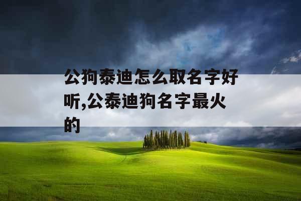 公狗泰迪怎么取名字好听,公泰迪狗名字最火的 公狗泰迪怎么取名字好听,公泰迪狗名字最火的