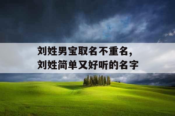 刘姓男宝取名不重名,刘姓简单又好听的名字