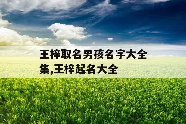 王梓取名男孩名字大全集,王梓起名大全