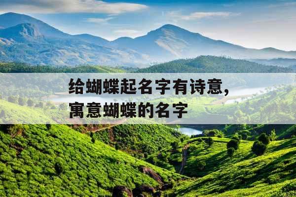 给蝴蝶起名字有诗意,寓意蝴蝶的名字
