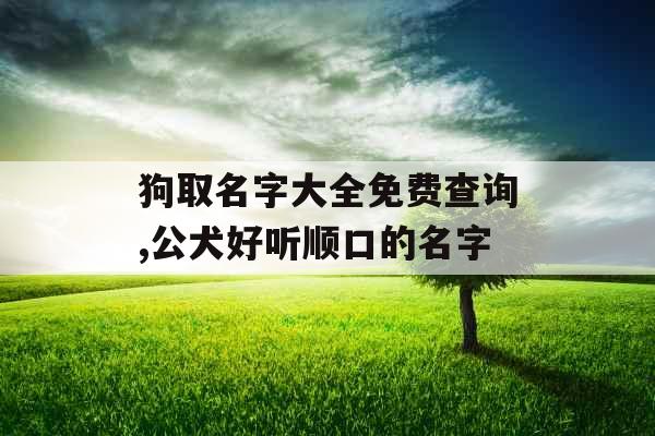 狗取名字大全免费查询,公犬好听顺口的名字