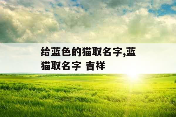 给蓝色的猫取名字,蓝猫取名字 吉祥