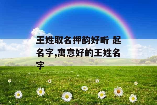 王姓取名押韵好听 起名字,寓意好的王姓名字