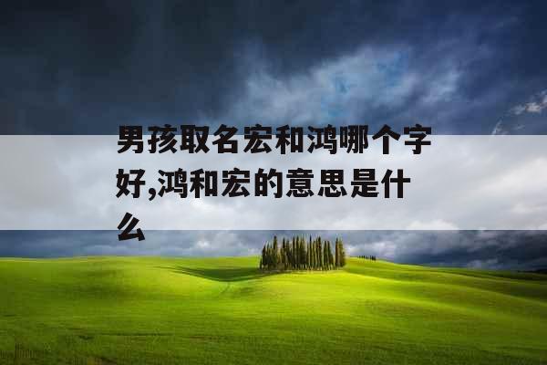 男孩取名宏和鸿哪个字好,鸿和宏的意思是什么