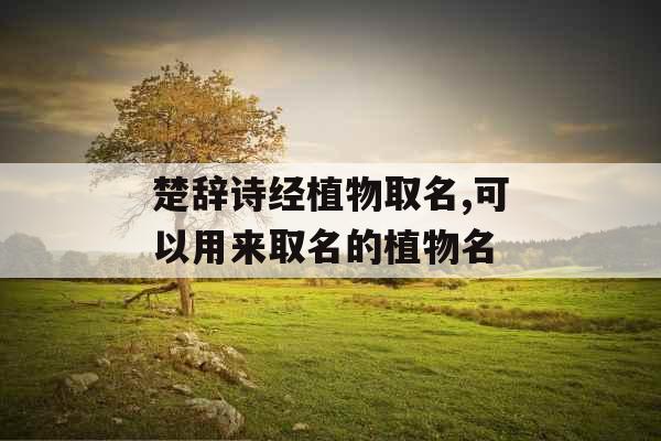 楚辞诗经植物取名,可以用来取名的植物名
