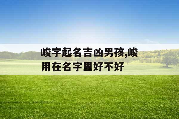 峻字起名吉凶男孩,峻用在名字里好不好 峻字起名吉凶男孩,峻用在名字里好不好