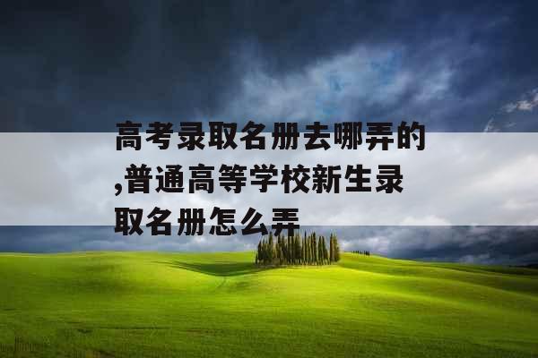 高考录取名册去哪弄的,普通高等学校新生录取名册怎么弄
