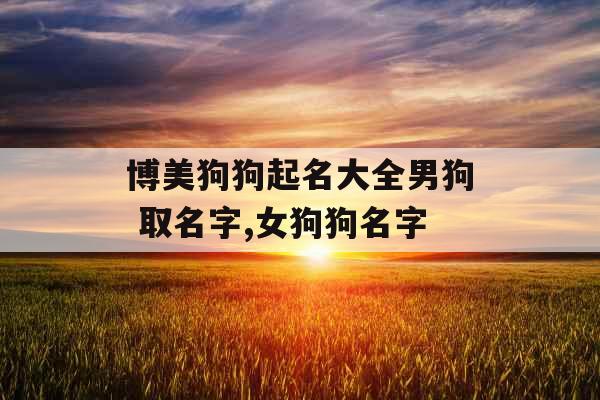 博美狗狗起名大全男狗 取名字,女狗狗名字 博美狗狗起名大全男狗 取名字,女狗狗名字