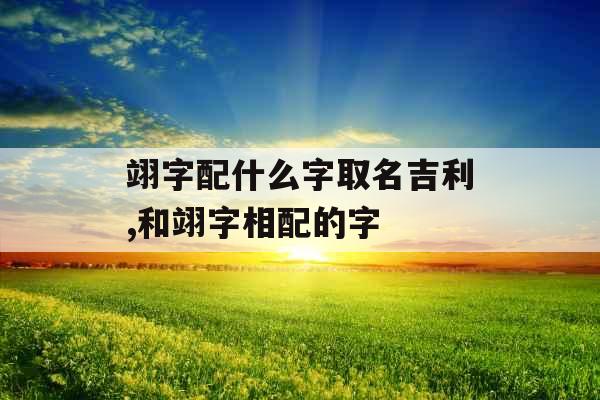 翊字配什么字取名吉利,和翊字相配的字