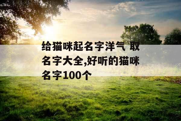 给猫咪起名字洋气 取名字大全,好听的猫咪名字100个