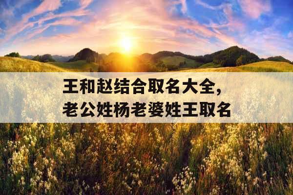 王和赵结合取名大全,老公姓杨老婆姓王取名