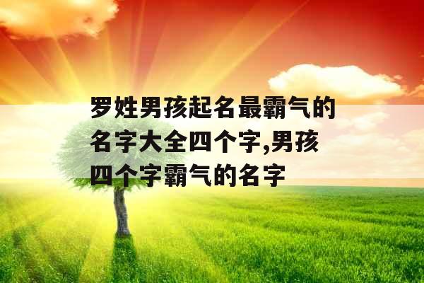 罗姓男孩起名最霸气的名字大全四个字,男孩四个字霸气的名字