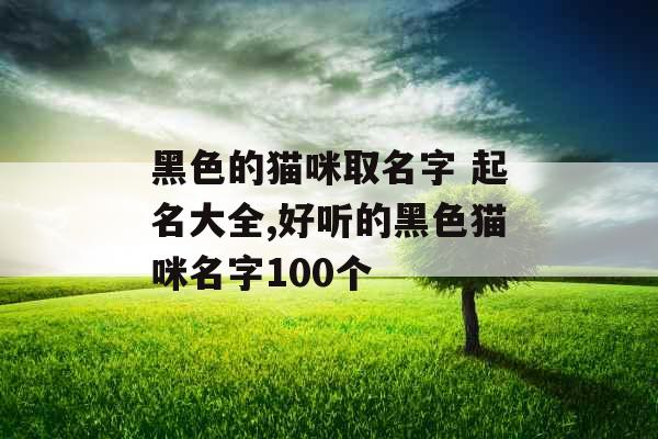 黑色的猫咪取名字 起名大全,好听的黑色猫咪名字100个