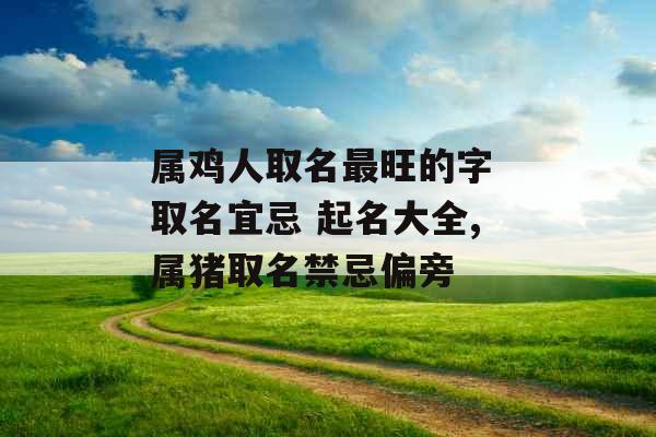 属鸡人取名最旺的字 取名宜忌 起名大全,属猪取名禁忌偏旁