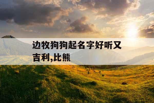 边牧狗狗起名字好听又吉利,比熊