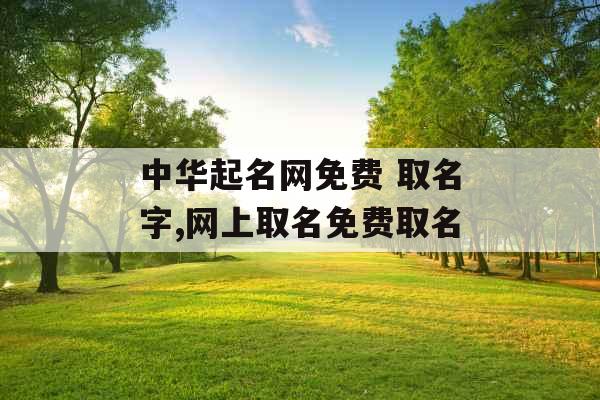 中华起名网免费 取名字,网上取名免费取名 中华起名网免费 取名字,网上取名免费取名